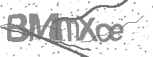 visual captcha